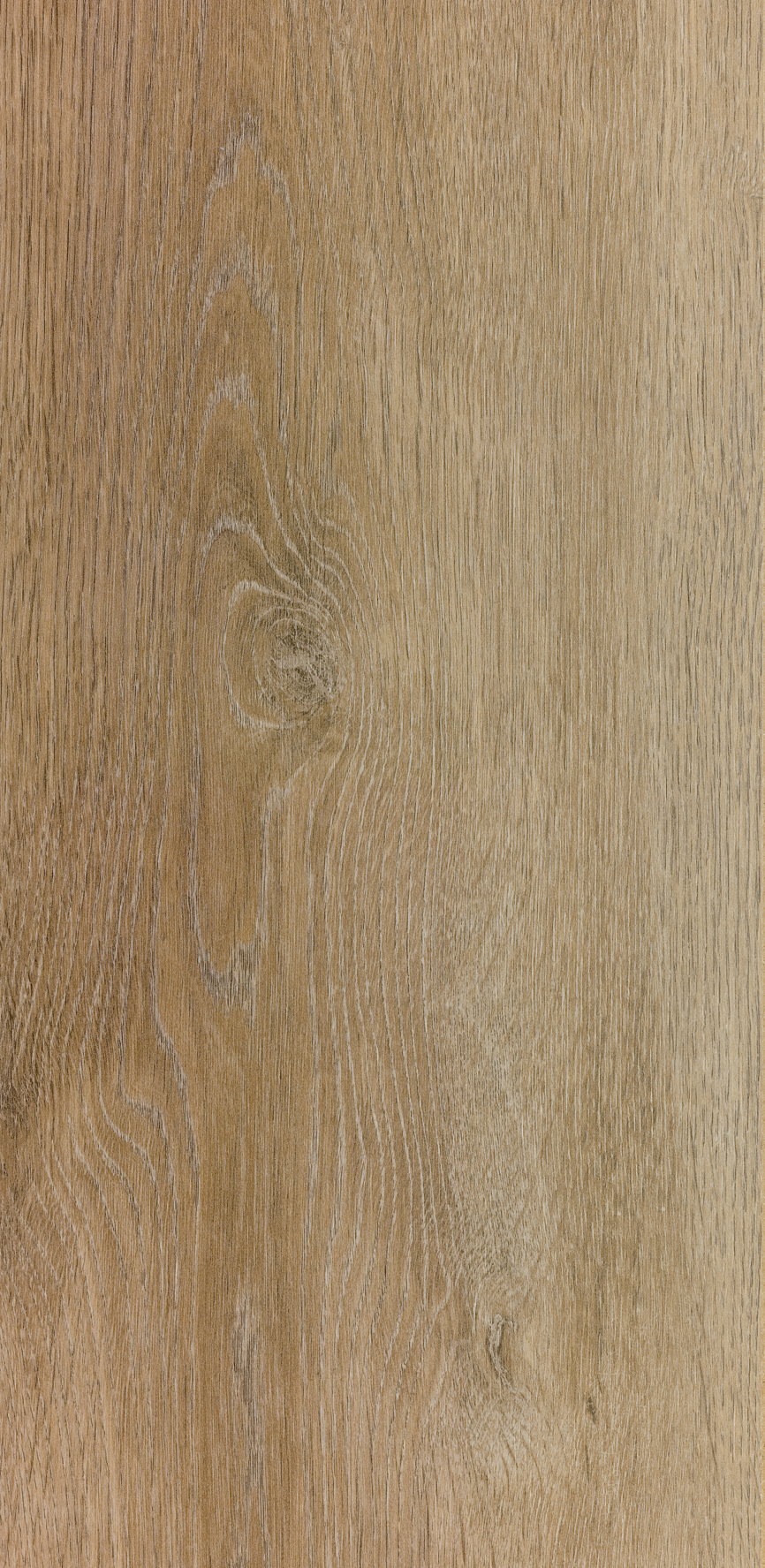 T8 AC5 529 ROBLE ALMENDRA 5G