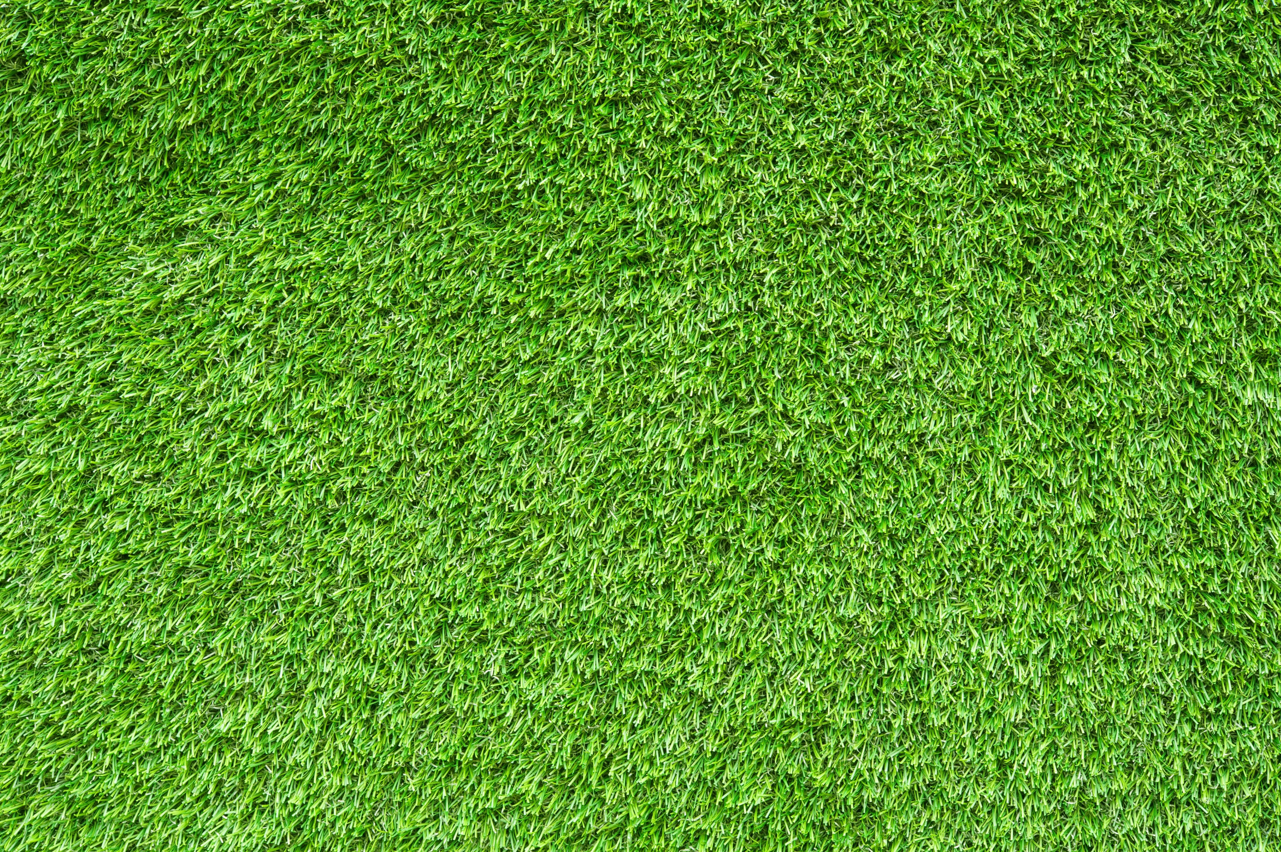 Césped Artificial